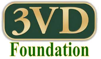 3VD Foundation – THREE VILLAGE DADS FOUNDATION